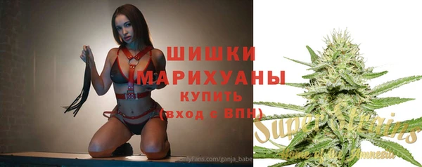 гидра Белокуриха