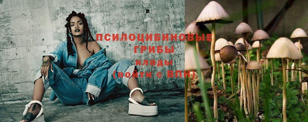 молекула духа Белоозёрский