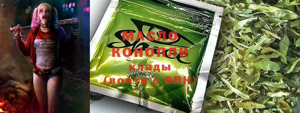 соль ск Бородино