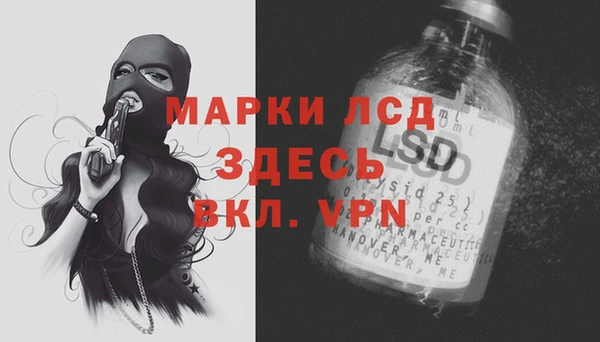 spice Беломорск