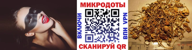 hydra вход  Минеральные Воды  Псилоцибиновые грибы Magic Shrooms 
