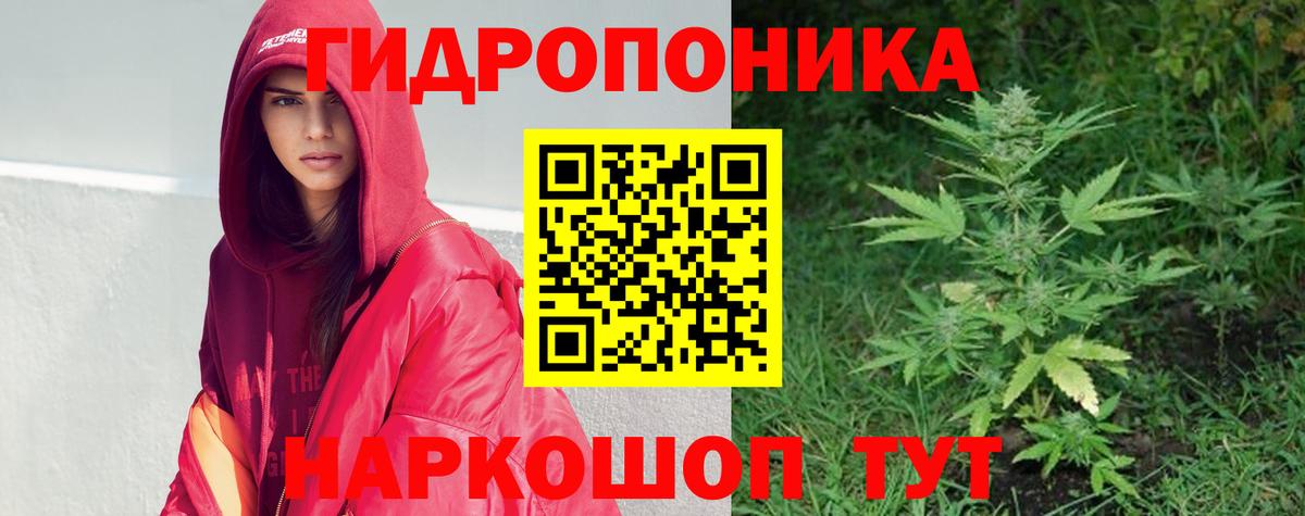 Бошки Шишки ГИДРОПОН  Каннабис SATIVA & INDICA  Марихуана гибрид  Вход с VPN  МАРИХУАНА White Widow  Минеральные Воды 
